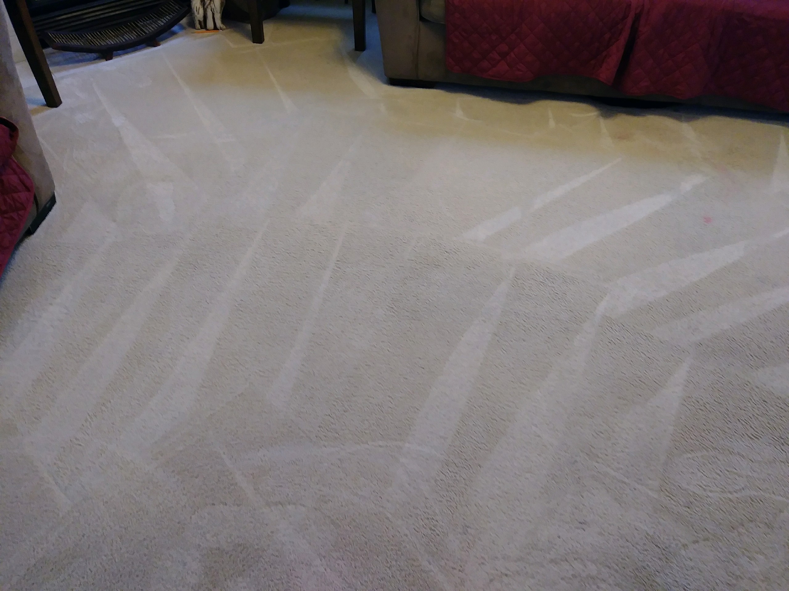 Gallery Images : BlueTick Janitorial Services